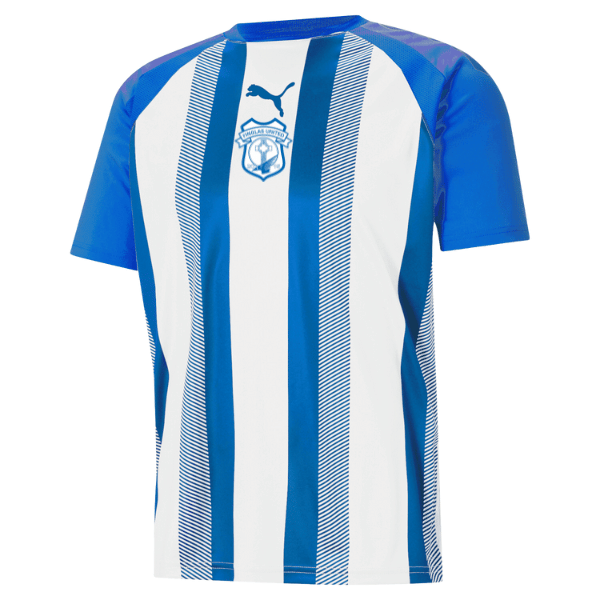 Finglas United Puma Team Liga Striped Jersey  Electric Blue/White