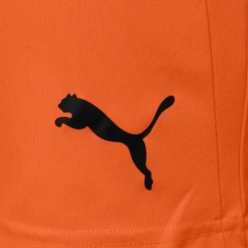 Puma teamLiga Shorts  Neon Citrus/Black